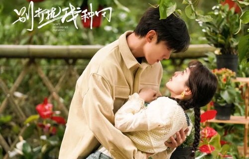 触摸星辰的短剧之旅