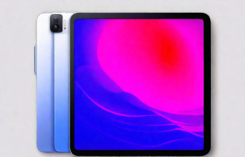 小米平板5（小米平板5pro124）