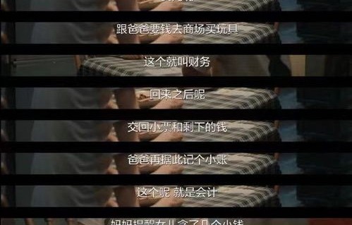 揭秘著名商人两枚萝卜章诈骗案，300亿的背后真相