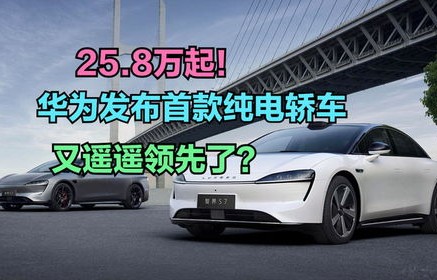 轿车销量排行榜前十名(纯电轿车销量排行榜前十名)