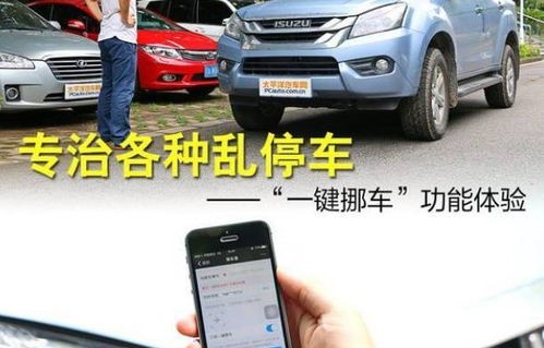 怎么查车牌号车主是谁(怎么查车牌号车主号码挪车)