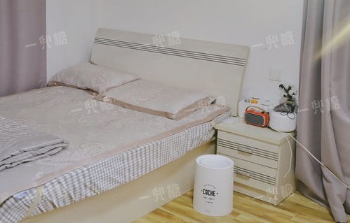 夫妻梦想南极之旅，因一间房被拒，19万花费背后的故事