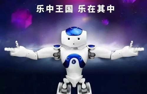 男子花费30万购买宇树机器人，期待与失望交织的科技体验