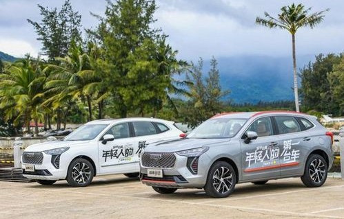 国内汽车品牌排行榜(国内汽车品牌排行榜十大名牌)