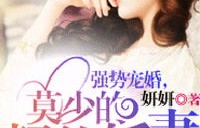 短剧强宠失忆娇妻的魅力之旅