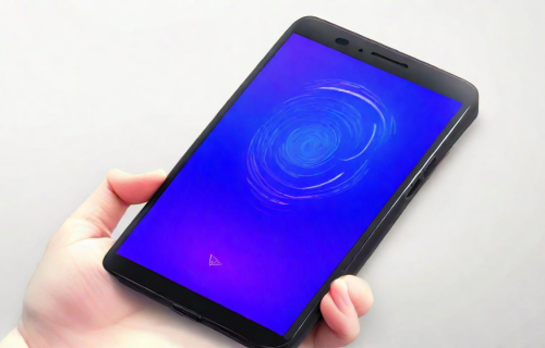 vivox20plus屏幕指纹版（vivox20plus屏幕指纹版手机壳）