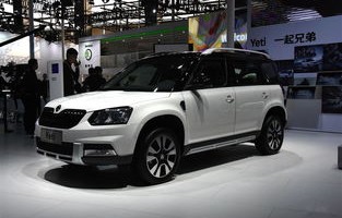 斯柯达野帝图片及价格(斯柯达野帝图片及价格二手价格)