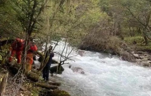 海南老人旅游溺亡事件，当地回应与反思