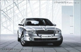 大众斯柯达图片(大众斯柯达图片大全集)