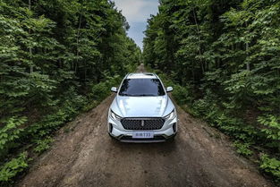 一汽奔腾t33(一汽奔腾t33质量好不好)