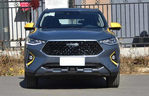 国产suv车(国产suv车哪个品牌质量最好)