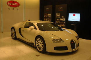 最贵的布加迪48亿(最贵的布加迪有多贵)