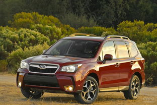 越野suv车型推荐(四驱越野车排名前十名)