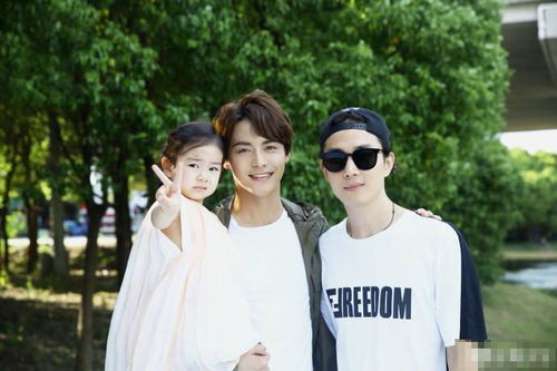 马天宇建议,是否应取消八个装瑞士卷的包装? 马天宇建议,是否应取消八个装瑞士卷的包装?