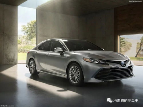 丰田凯美瑞suv价格和图片(丰田凯美瑞最新价格2020款) 丰田凯美瑞suv价格和图片(丰田凯美瑞最新价格2020款)