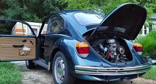 大众甲壳虫为啥不产了(大众甲壳虫为什么会停产)