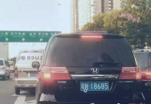 输入车牌号免费查违章(输入车牌号免费查违章粤X35239)