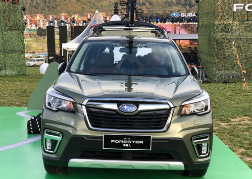 斯巴鲁森林人价格(斯巴鲁森林人价格为什么上调) 斯巴鲁森林人价格(斯巴鲁森林人价格为什么上调)