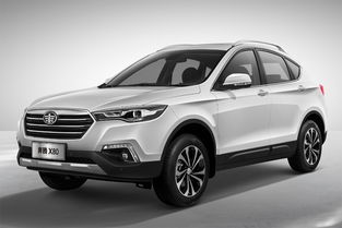 奔腾x80为什么停产(奔腾x80为什么停售)