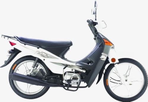 钱江摩托车官网(钱江摩托车官网)