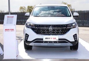 东风风行t5l(东风风行T5l是哪国产得变速箱)