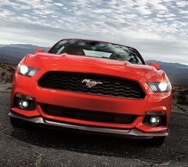 福特野马价格(福特野马价格表及图片大全)