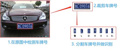 只输入车牌号查保险(只输入车牌号查保险到期时间)