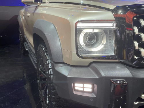 长城坦途克300价越野图片(长城坦途克2021款300价越野图片)