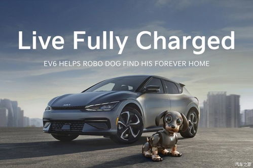 2020汽车大全(2022汽车大全) 2020汽车大全(2022汽车大全)