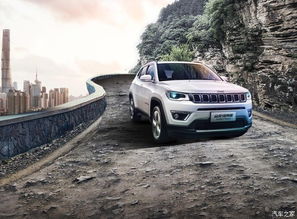 jeep指南者油耗(jeep指南者油耗高怎么解决)