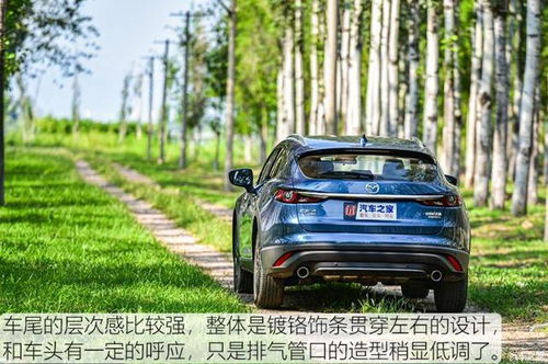 20万左右车推荐(20万左右车推荐一下)