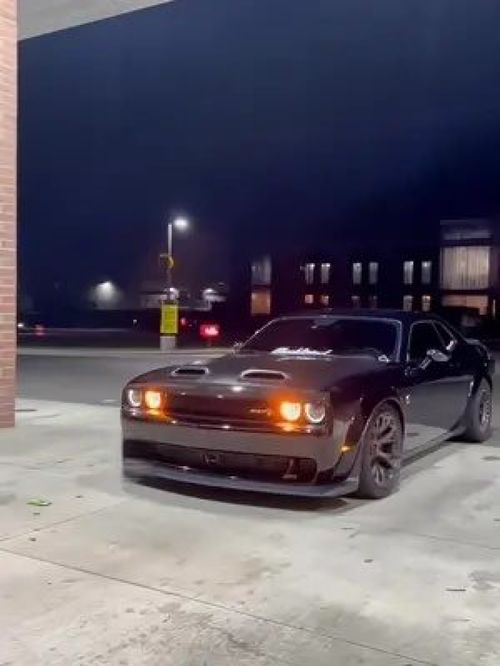 开道奇的都是什么人(道奇的奇)