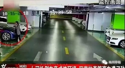 玛莎拉蒂撞宝马(玛莎拉蒂撞宝马赔偿多少钱)