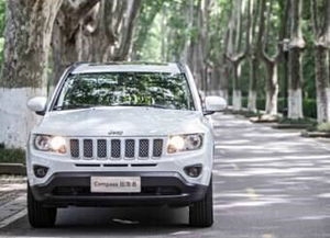 十大纯正越野车排名(十大纯正越野车排名图片)