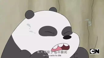 妙妙，你为何害怕我？