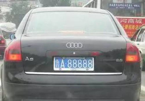 输入车牌号一键查违章非本人(输入车牌号一键查违章非本人晋A51BQ1)