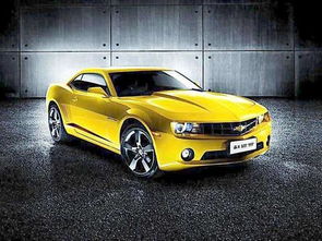 科迈罗大黄蜂(科迈罗大黄蜂二手) 科迈罗大黄蜂(科迈罗大黄蜂二手)