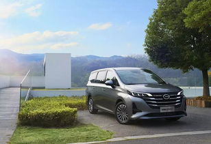 国产七座家用车大全(7人座家用车哪款最好)