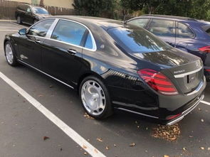 amg和迈巴赫哪个高端(奔驰amg和迈巴赫哪个高级)