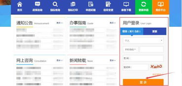 北京小客车指标查询系统官网地址(北京小客车指标查询系统官网app)