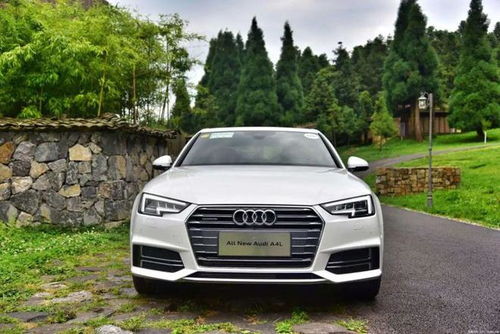 买奥迪a4l都是什么人(买奥迪a4l都是什么人买的) 买奥迪a4l都是什么人(买奥迪a4l都是什么人买的)