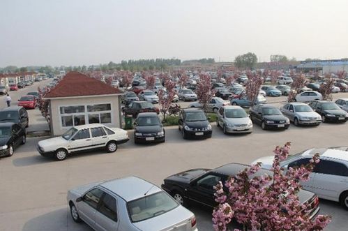 二手车查询(二手车查询价格)