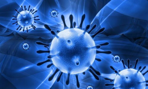 最新病毒感染什么症状(最新病毒感染什么症状什么是hpv病毒?)