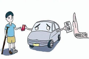 老司机只买三种保险(老司机只买三种保险有反点吗)