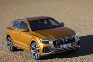 派克峰奥迪q7多少钱(奥迪q8多少钱)