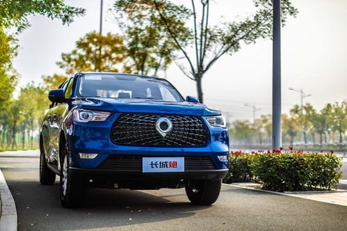 长城炮皮卡(长城炮皮卡按键功能图解)