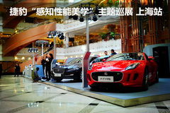 太平洋汽车网首页(太平洋汽车网首页官方)