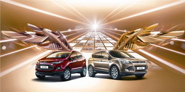 购车网(公安购车网)