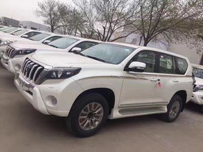 丰田霸道2700多少钱(09年丰田霸道2700多少钱) 丰田霸道2700多少钱(09年丰田霸道2700多少钱)