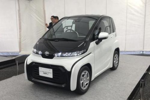 最小燃油汽车在售(丰田10微型车)